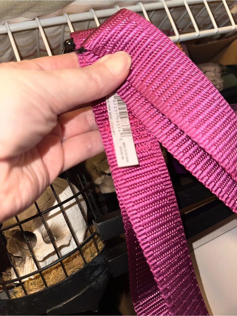 Kong Pink Dog Collar or Leash with Black Hardware